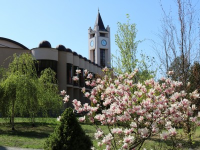 Санаторий Озерный, Республика Беларусь
