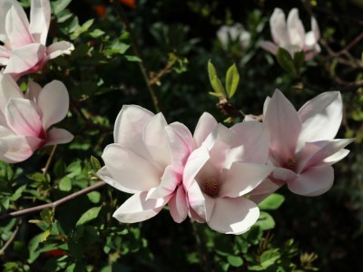 Санаторий Озерный, Республика Беларусь