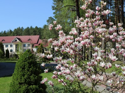 Санаторий Озерный, Республика Беларусь