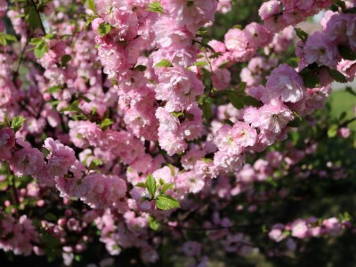 Санаторий Озерный, Республика Беларусь