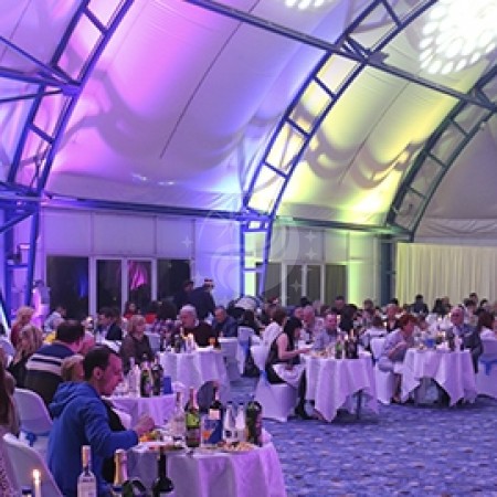 Полосатый Новый год